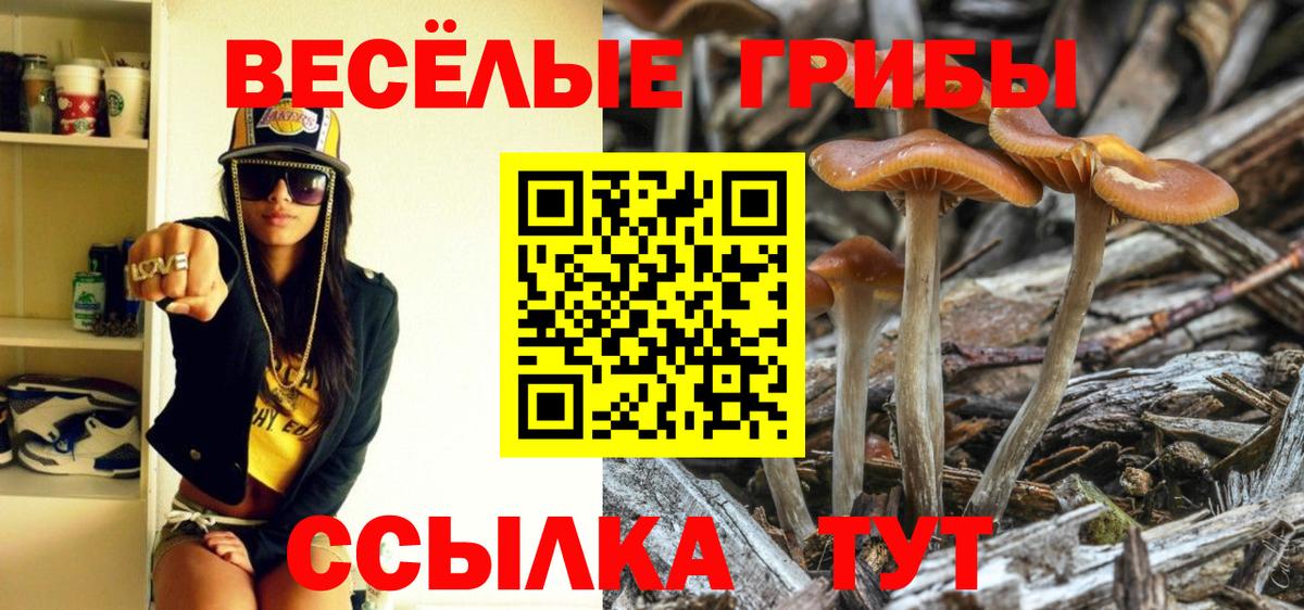 Галлюциногенные грибы мицелий  Вход с VPN  Сосновоборск  Псилоцибиновые грибы GOLDEN TEACHER 