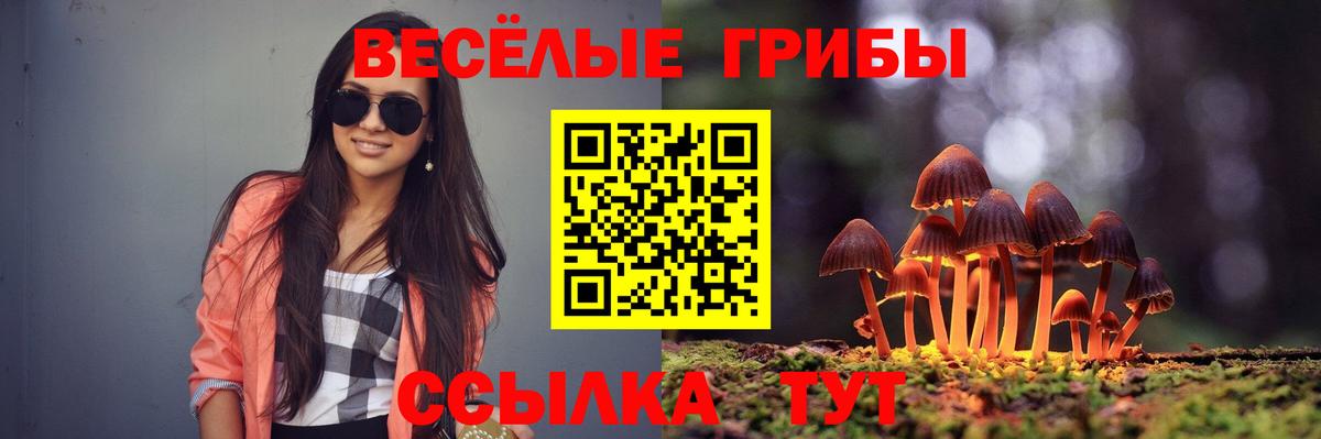 Галлюциногенные грибы Magic Shrooms Сосновоборск